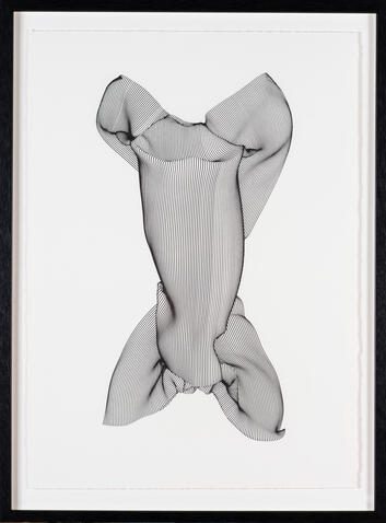 Miranda Bellamy &amp; Amanda Fauteux, Digitalis purpurea, pen on paper, 2026