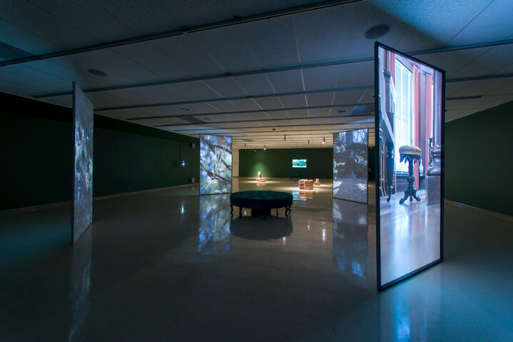 Miranda Bellamy &amp; Amanda Fauteux, Terrarium (exhibition view), 2022, Owens Art Gallery, Mi’kma’ki/Sackville, New Brunswick, Canada