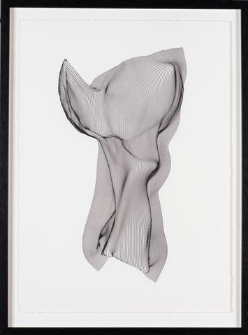 Miranda Bellamy &amp; Amanda Fauteux, Orchis militaris, pen on paper, 2026