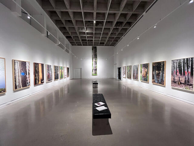 Miranda Bellamy &amp; Amanda Fauteux, Collective, MSVU Gallery, 2024, Photo by Miranda Bellamy