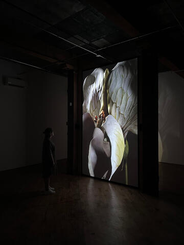 Miranda Bellamy and Amanda Fauteux, Radicant, YYZ Artists' Outlet, Tkaronto (Toronto), Canada
